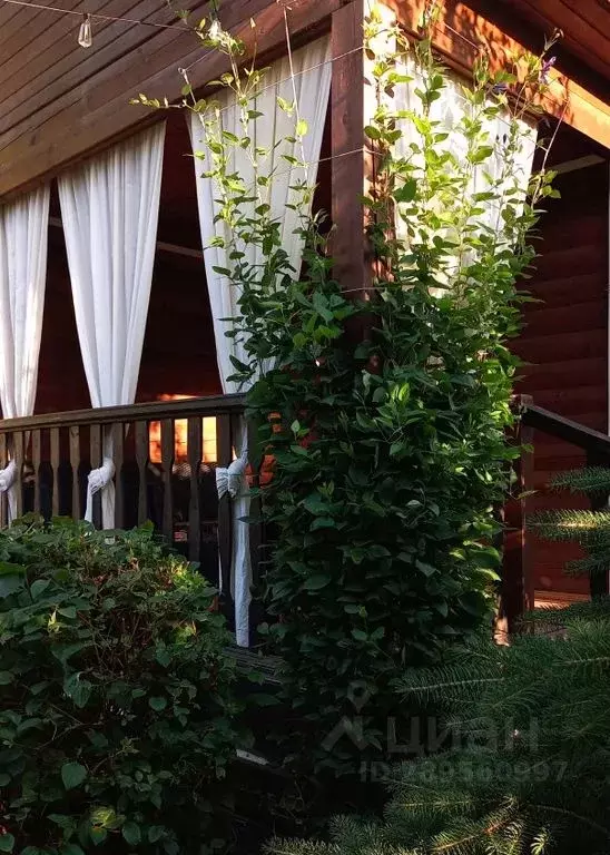 Дом в Крым, Феодосия муниципальный округ, Коктебель пгт ул. ... - Фото 1