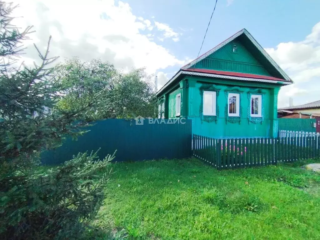 Дом в Мстёра, улица Юннатов, 25 (53 м) - Фото 1