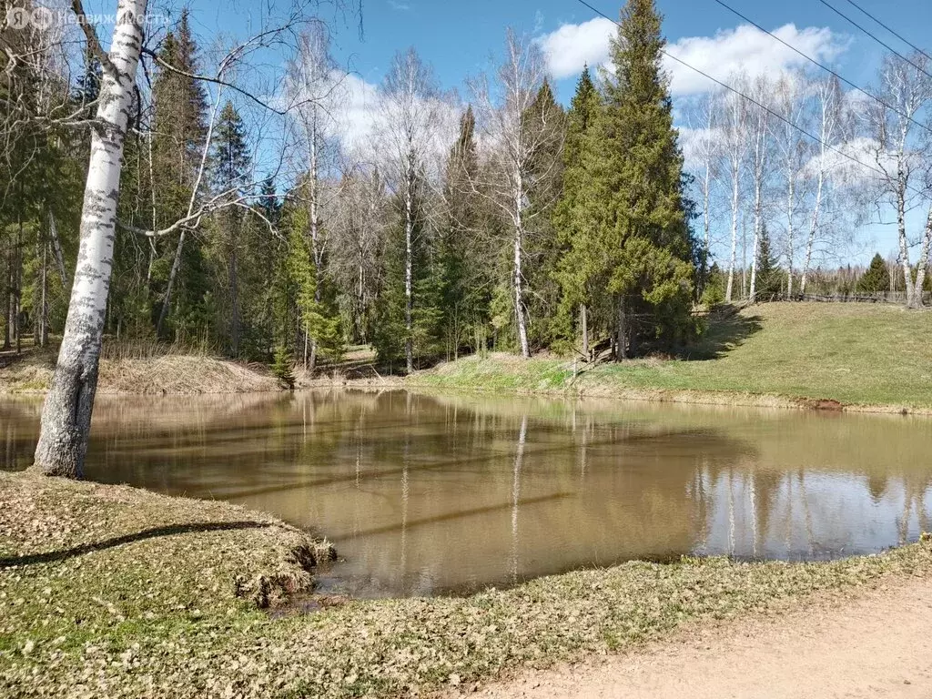 Дом в село Филатово, улица Никольского (31.8 м) - Фото 1