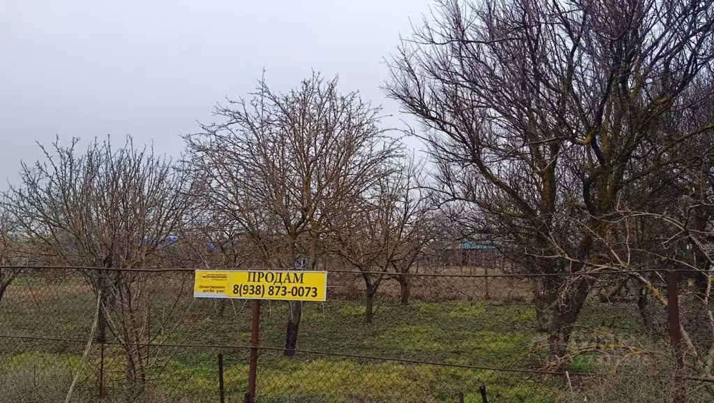 Участок в Краснодарский край, Ейский район, Камышеватская ст-ца ... - Фото 1