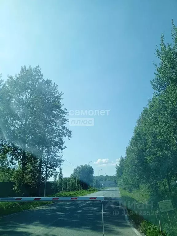 Участок в Тюменская область, Тюмень  (5.5 сот.) - Фото 1