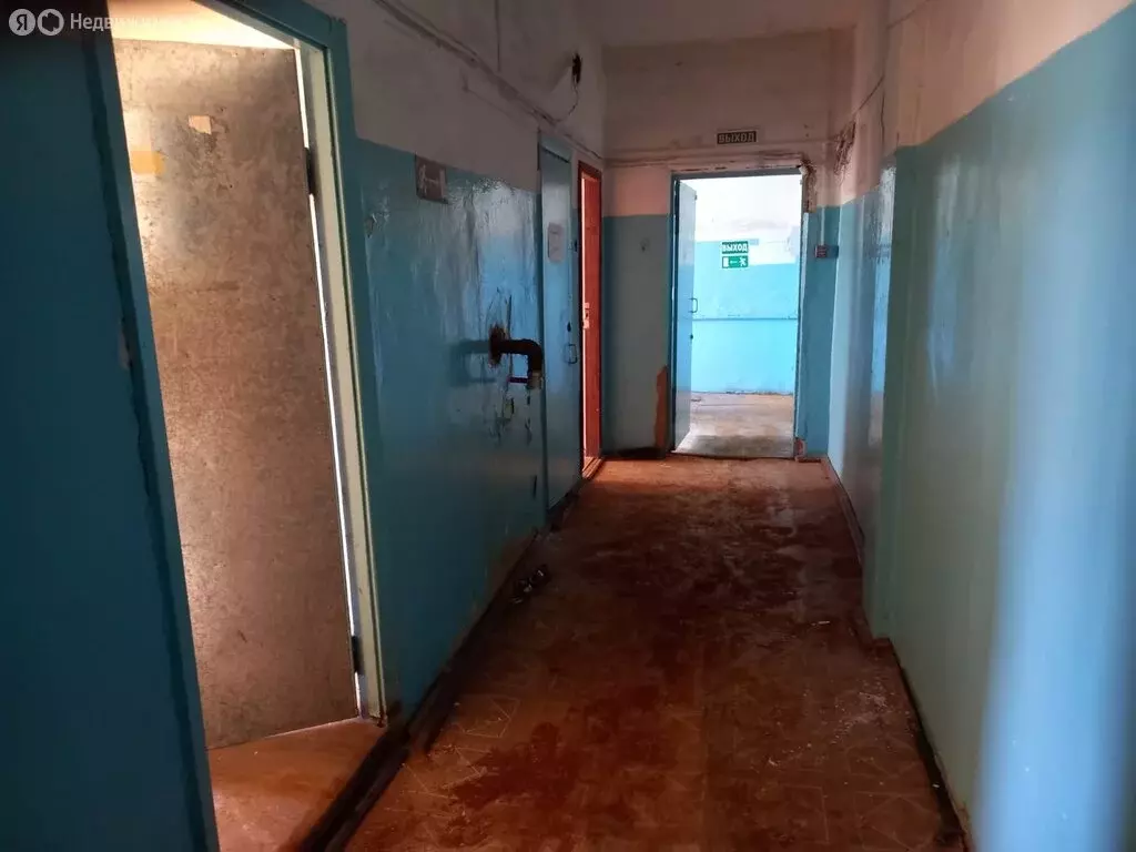 Помещение свободного назначения (271.9 м) - Фото 1