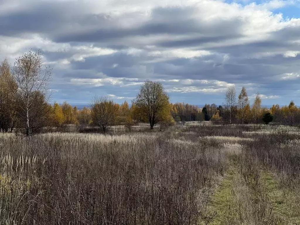 Участок в Тверская область, Калининский муниципальный округ, д. ... - Фото 2