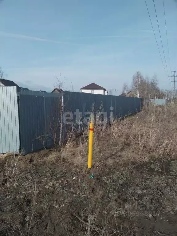 Участок в Новосибирская область, Новосибирский район, с. Толмачево ул. ... - Фото 0