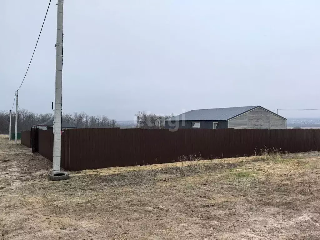 Участок в Воронежская область, Рамонский район, Новоживотинновское ... - Фото 1