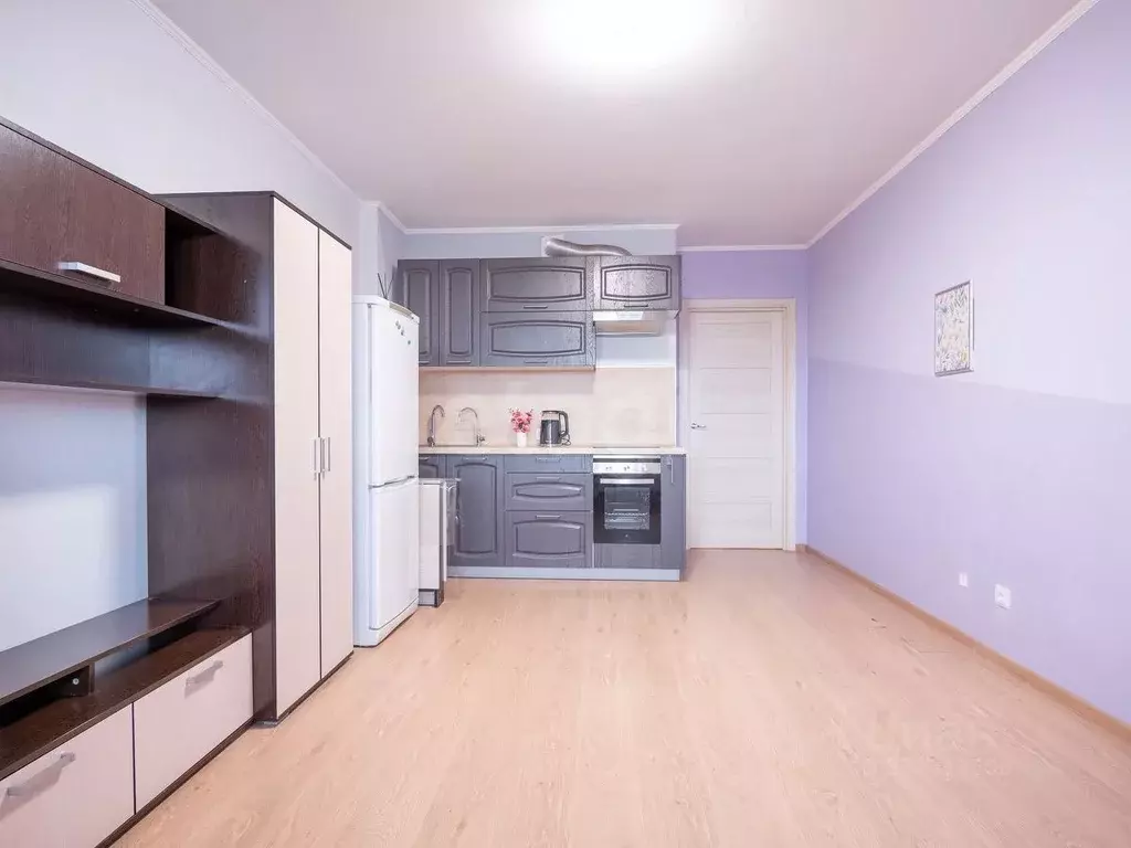Студия Санкт-Петербург просп. Энергетиков, 9к3 (25.0 м) - Фото 1