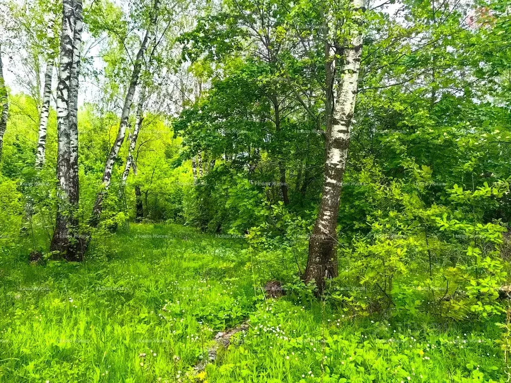 Участок в Московская область, Ленинский городской округ, Мисайлово ... - Фото 0