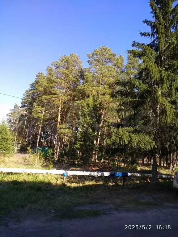 3-к. квартира, 56,7 м, 1/2 эт. - Фото 1
