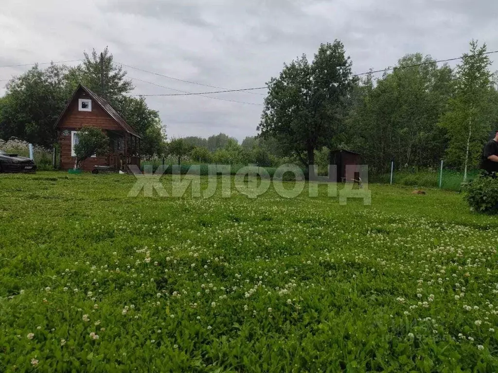 Участок в Новосибирская область, Коченевский район, д. Белобородово  ... - Фото 2