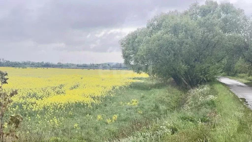 Участок в Калининградская область, Гурьевск  (6.7 сот.) - Фото 0