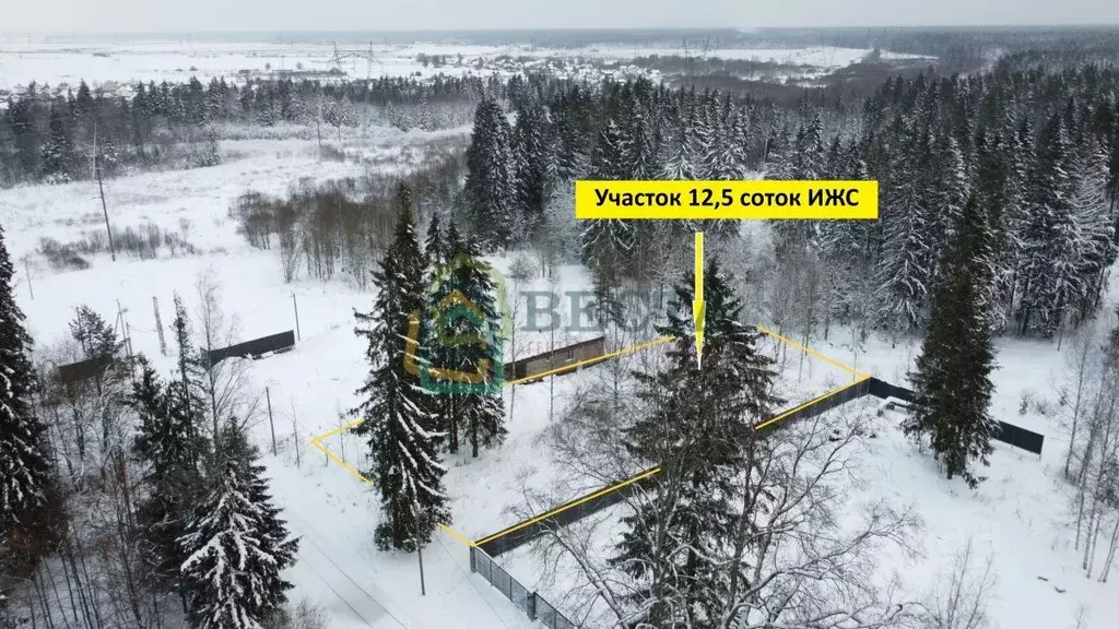 Участок в Ленинградская область, Гатчинский район, д. Мельница ... - Фото 2