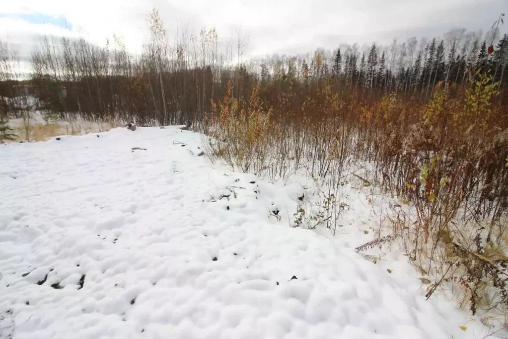 Участок в Свердловская область, Горноуральский городской округ, с. ... - Фото 1