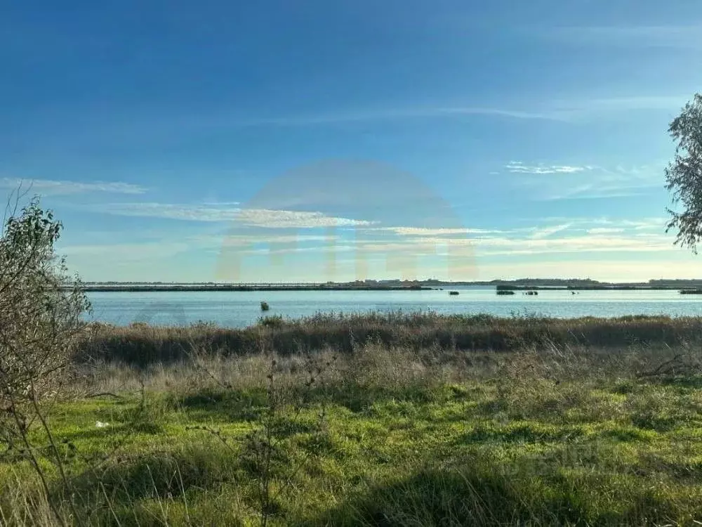 Участок в Крым, Саки ш. Евпаторийское (5.4 сот.) - Фото 1