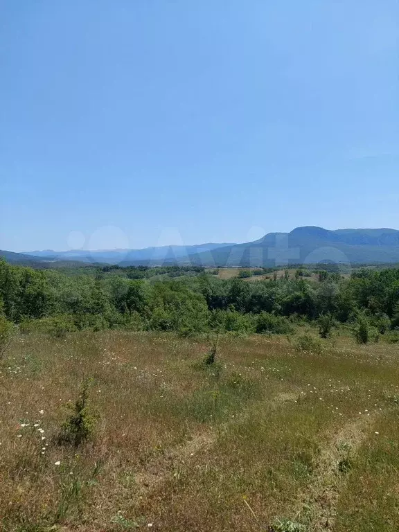 Участок 1,76 га (СНТ, ДНП) - Фото 0