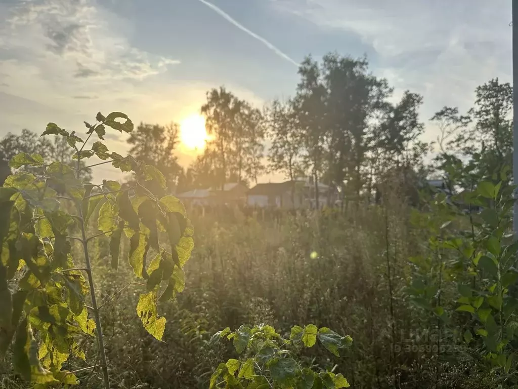 участок в московская область, щелково городской округ, д. байбаки . - Фото 1