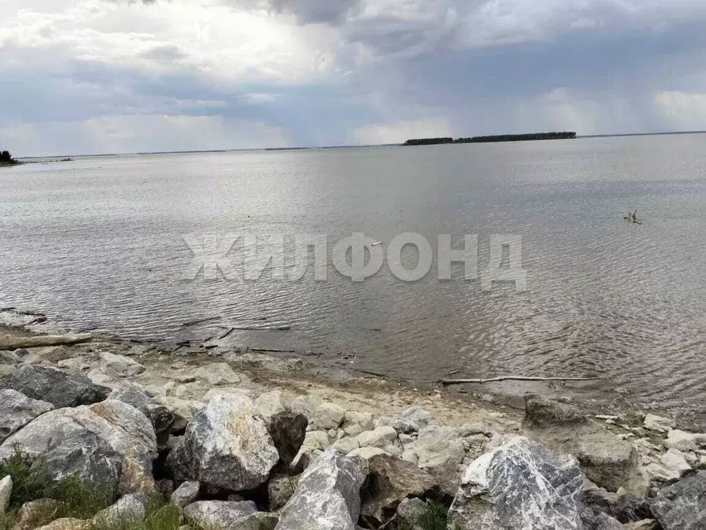 Участок в Новосибирская область, Искитимский район, Быстровский ... - Фото 1