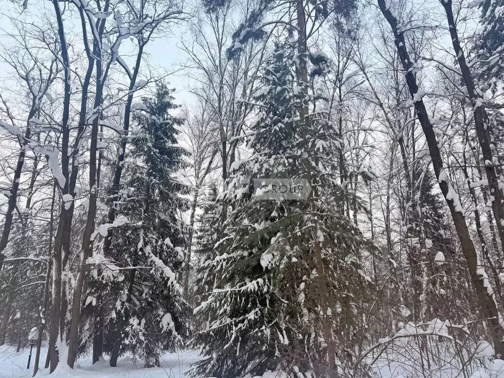 Участок в Московская область, Одинцовский городской округ, пос. ... - Фото 1