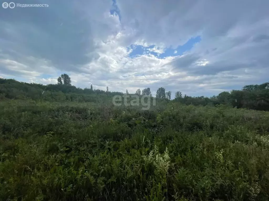 Участок в Ульяновский район, посёлок Тимирязевский (12 м) - Фото 0