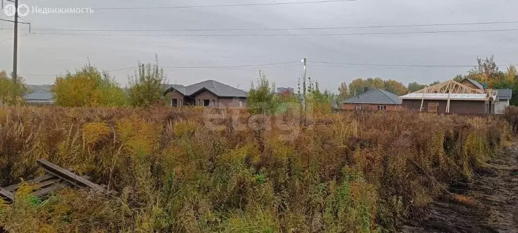 Участок в село Толмачево, СДТ Содружество (5.44 м) - Фото 1