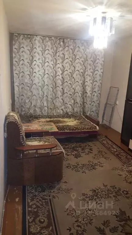 Комната Новосибирская область, Новосибирск ул. Бориса Богаткова, 207 ... - Фото 2