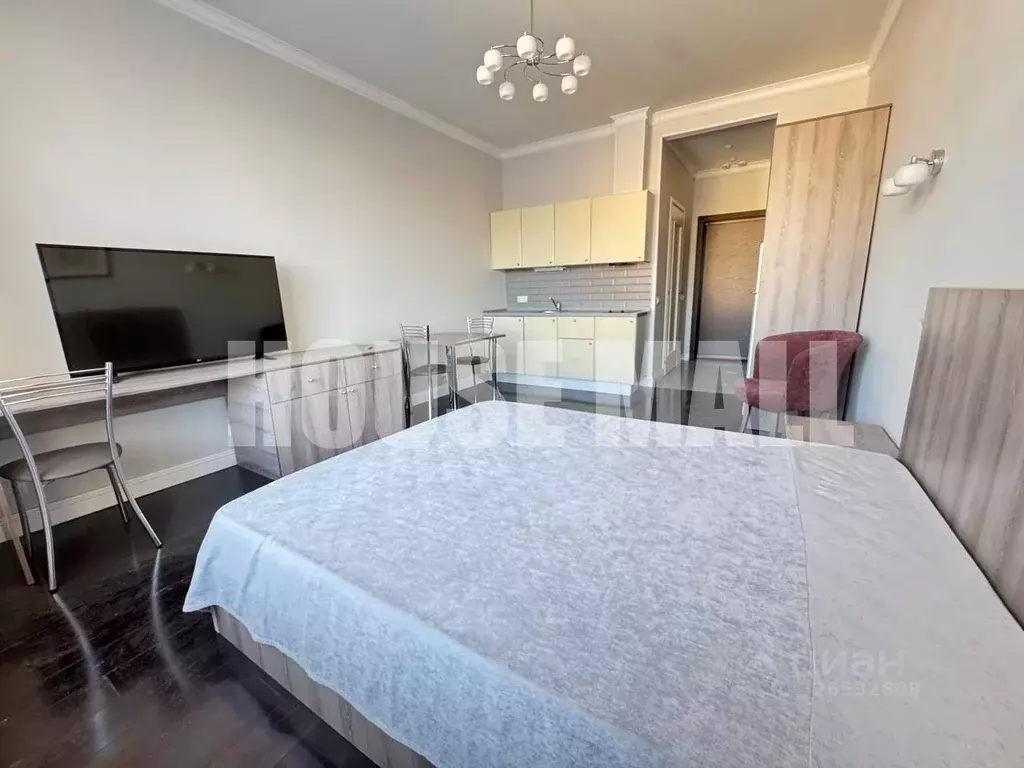 Студия Москва просп. Мира, 188Бк2 (26.3 м) - Фото 2