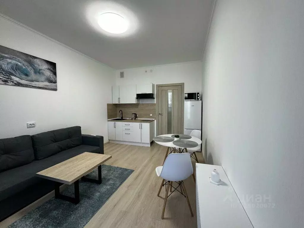 Студия Санкт-Петербург просп. Авиаконструкторов, 63 (25.4 м) - Фото 0