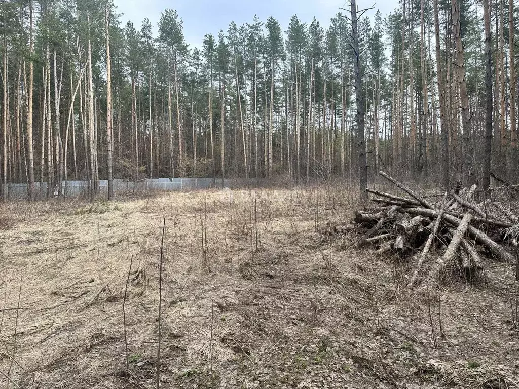 Участок в Пензенская область, Пензенский район, Богословский ... - Фото 2