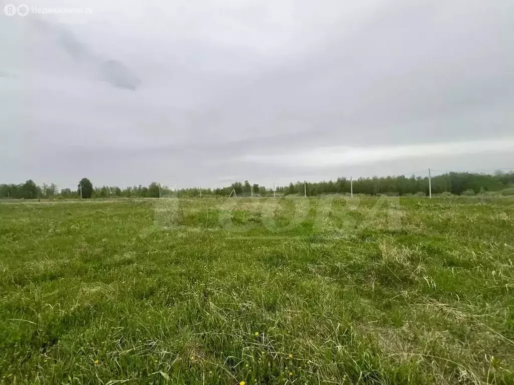 Участок в Тюменский район, Винзилинское муниципальное образование (8 ... - Фото 0