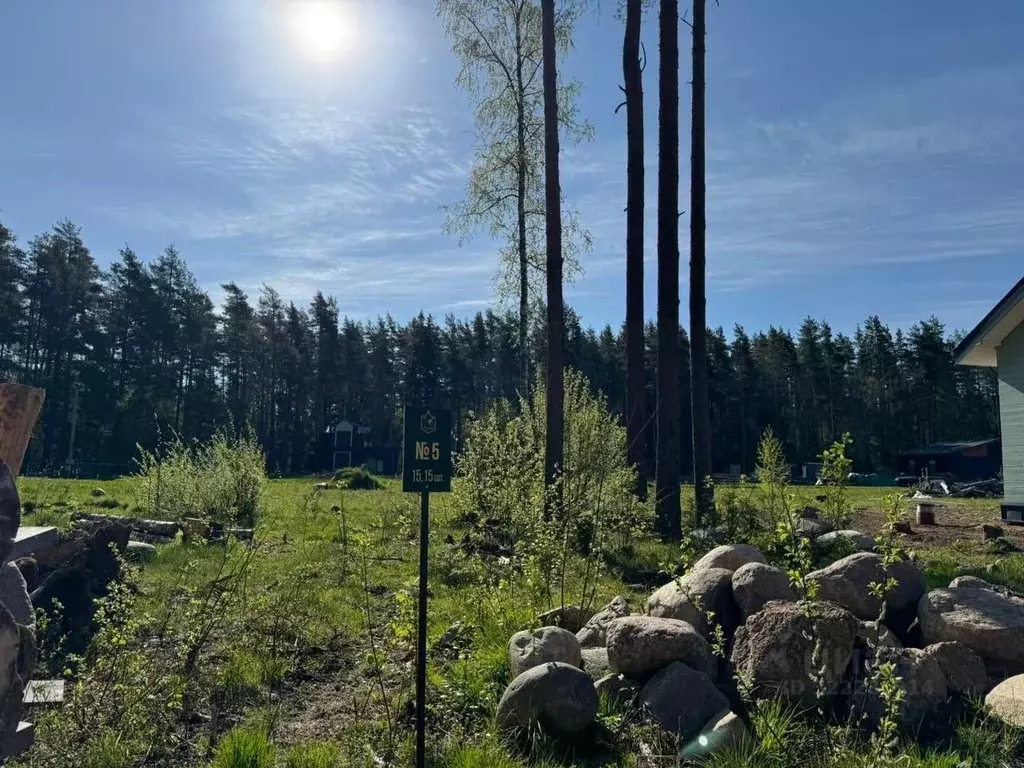 Участок в Ленинградская область, Выборгский район, Полянское с/пос, ... - Фото 1
