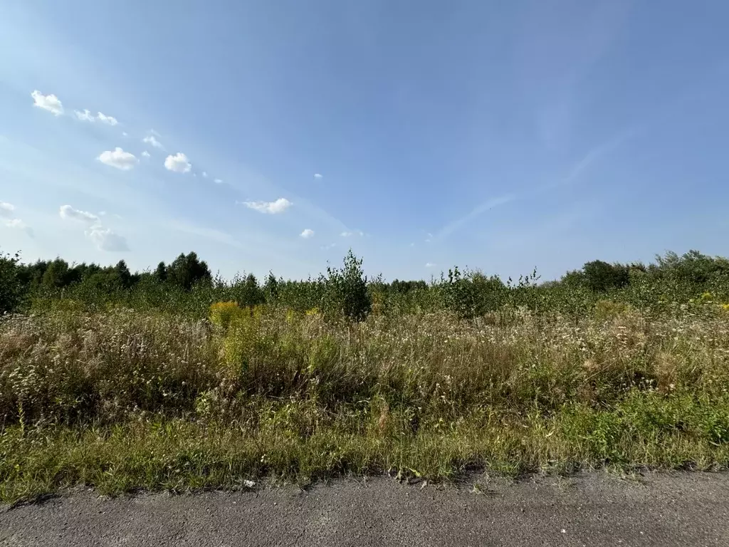 участок в московская область, воскресенск городской округ, с. михалево . - Фото 0