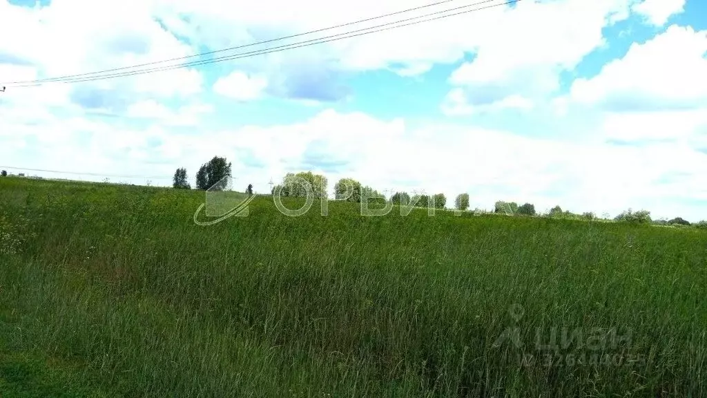 Участок в Тюменская область, Тюменский муниципальный округ, ... - Фото 1