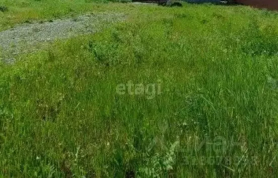 Участок в Свердловская область, Белоярский муниципальный округ, с. ... - Фото 1