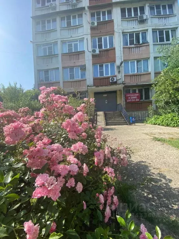2-к кв. Краснодарский край, Сочи городской округ, Дагомыс пгт ш. ... - Фото 0