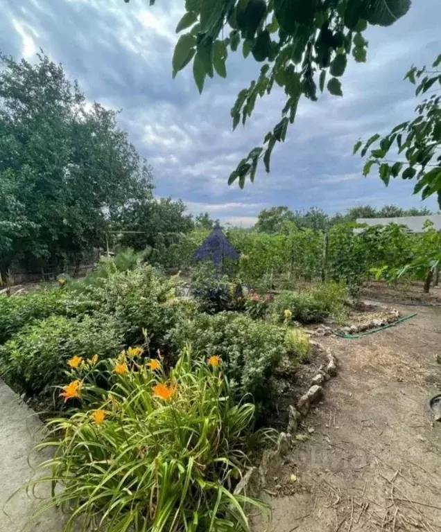 Дом в Ростовская область, Цимлянский район, Красноярское с/пос, ... - Фото 2