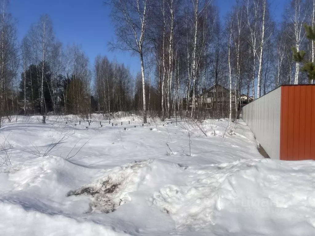 Участок в Московская область, Раменский муниципальный округ, Жилой ... - Фото 2