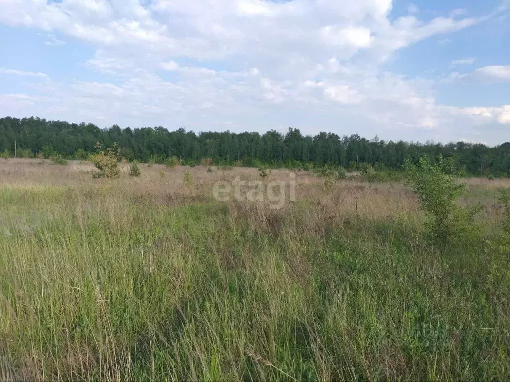 Участок в Белгородская область, Старый Оскол ул. Альберта Моржаретто ... - Фото 1