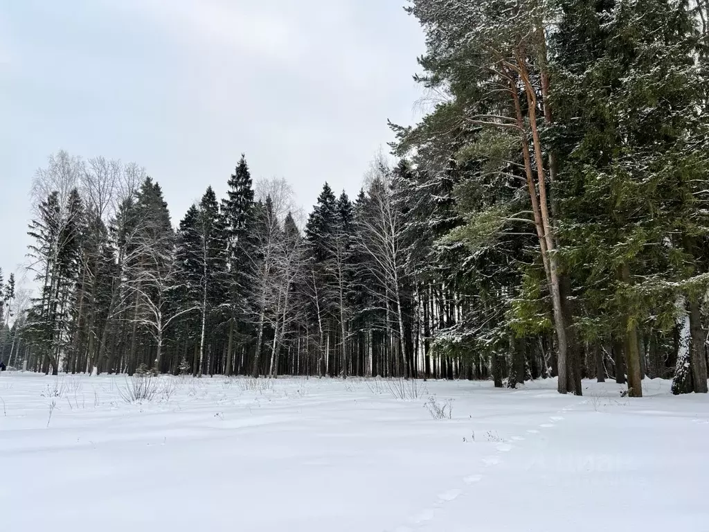 Участок в Московская область, Рузский муниципальный округ, д. ... - Фото 1