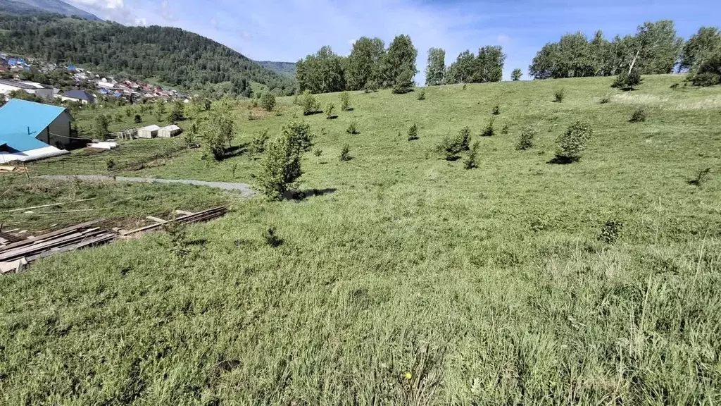 Участок в Алтай, Майминский район, с. Кызыл-Озек пер. Горный (11.02 ... - Фото 1