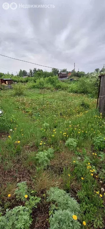 Участок в Омск, территория СОСН Связист-3 (6 м) - Фото 0