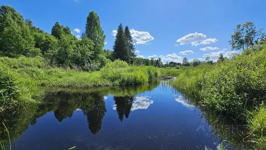 Участок в Новгородская область, Демянский муниципальный округ, д. ... - Фото 1