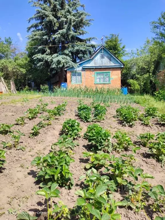 Дом в Нижегородская область, Нижний Новгород 40 лет Октября СНТ,  (17 ... - Фото 0