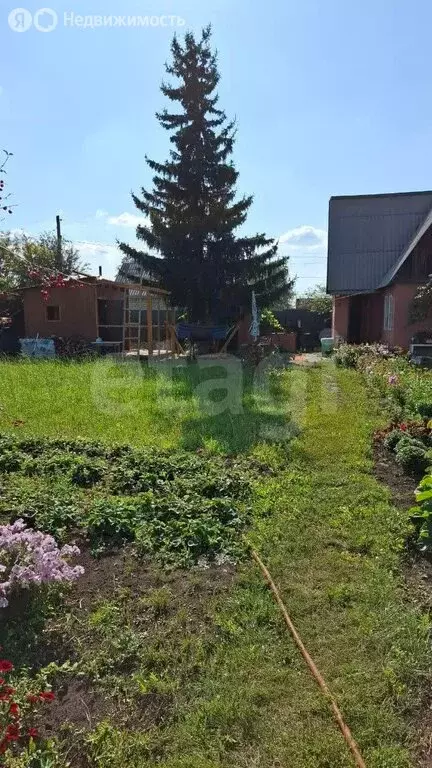 Дом в Челябинская область, Красноармейский муниципальный округ, СНТ ... - Фото 2