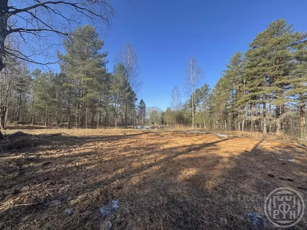 Участок в Ленинградская область, Лужский район, Серебрянское с/пос, д. ... - Фото 1