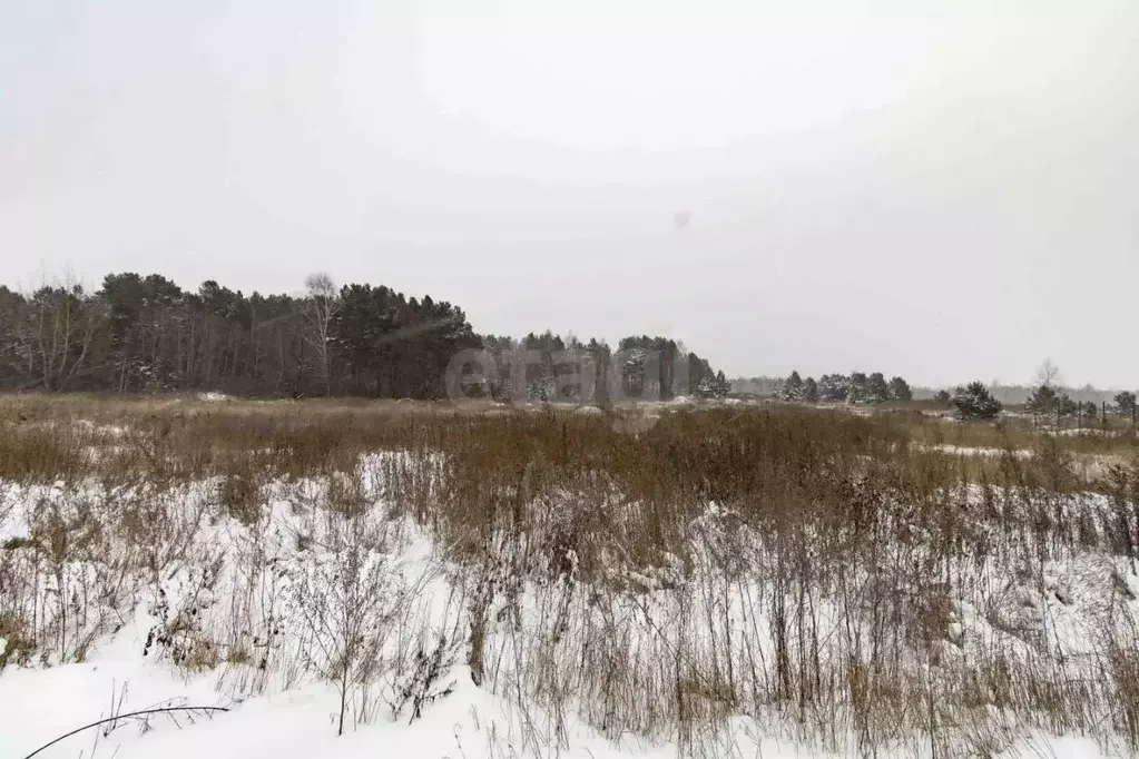 Участок в Тюменская область, Тюменский муниципальный округ, д. ... - Фото 2