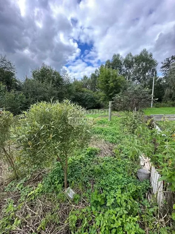 Участок в Московская область, Ленинский городской округ, с. Остров ул. ... - Фото 1