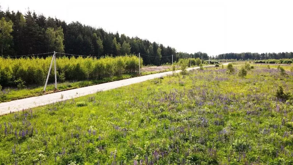 Участок в Владимирская область, Киржачский муниципальный округ, ... - Фото 1