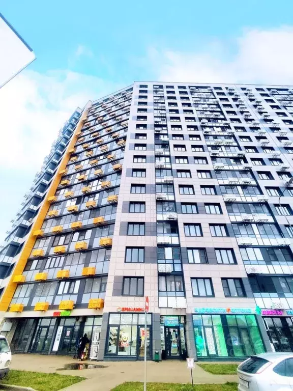 Студия Московская область, Домодедово городской округ, с. Домодедово ... - Фото 2