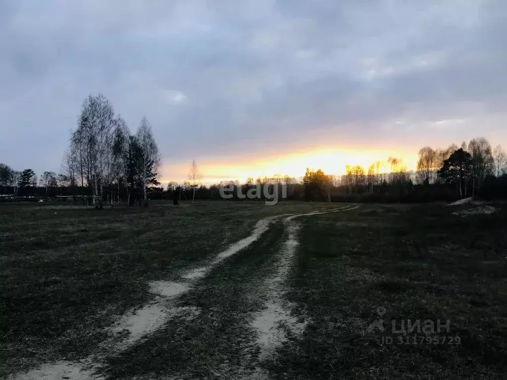 Участок в Тюменская область, Нижнетавдинский район, д. Московка  (14.4 ... - Фото 0