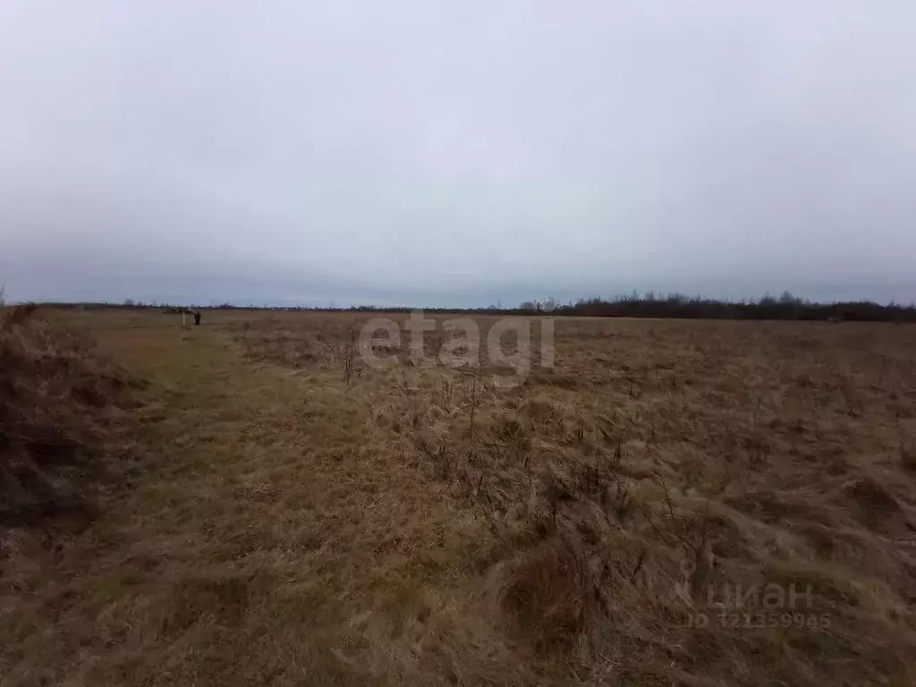 Участок в Псковская область, Псковский район, Логозовская волость, д. ... - Фото 1