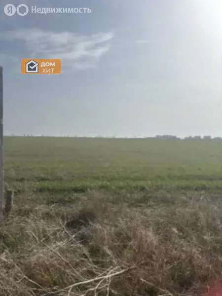 Участок в Сакский район, Молочненское сельское поселение, село Витино ... - Фото 1